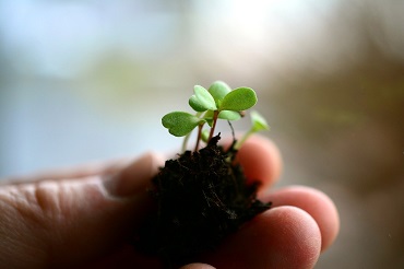 Skilled Business Coach Is Worth Their Weight In Gold